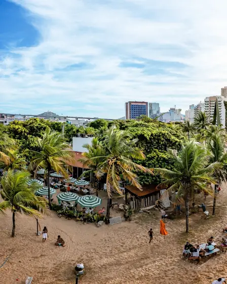 Vista do alto do Clericot Café entre coqueiros, com guarda-sóis verdes na areia da Curva da Jurema