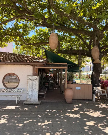 Entrada do Clericot Café com janela redonda, sob a castanheira